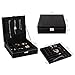 MALEDEN Jewelry Organizer, 2 Layers Lint Jewelry Case Box for Necklace, Earrings, Bracelets and Rings Display, Large Capacity with Lock for Home Storage and Travel