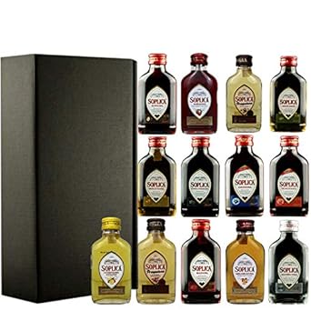 Soplica Probierset Minis in Geschenkbox | 13 Soplica Wodkas/Liköre in der Probiergröße | je 0,1 Liter