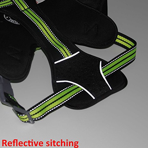 DogHelios 3-in-1 Waterproof Explorer