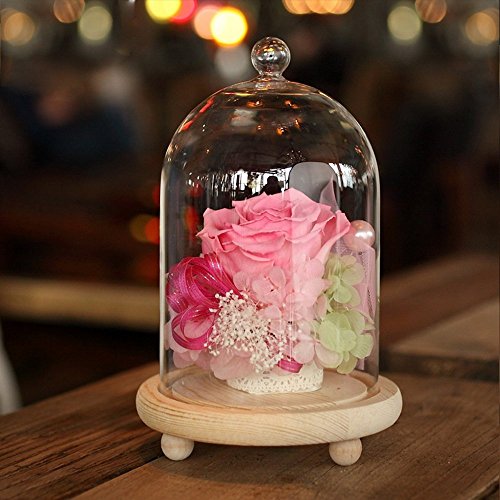 Reelva Decorative Clear Glass Cloche Bell Jar Display Case (Small) - Thumbnail 4