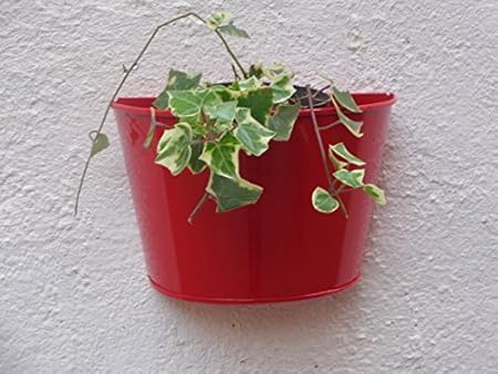 Green Gardenia Round Wall Planter (Red)