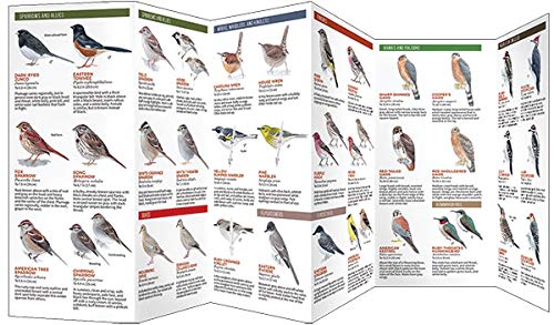 Backyard Birds of Eastern/Central North America: A Folding Pocket Guide to Common Backyard Birds (All About Birds)