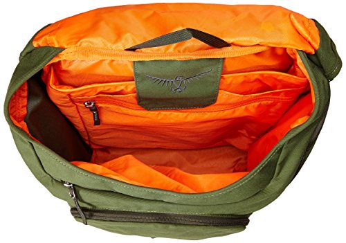 osprey men's flapjack backpack