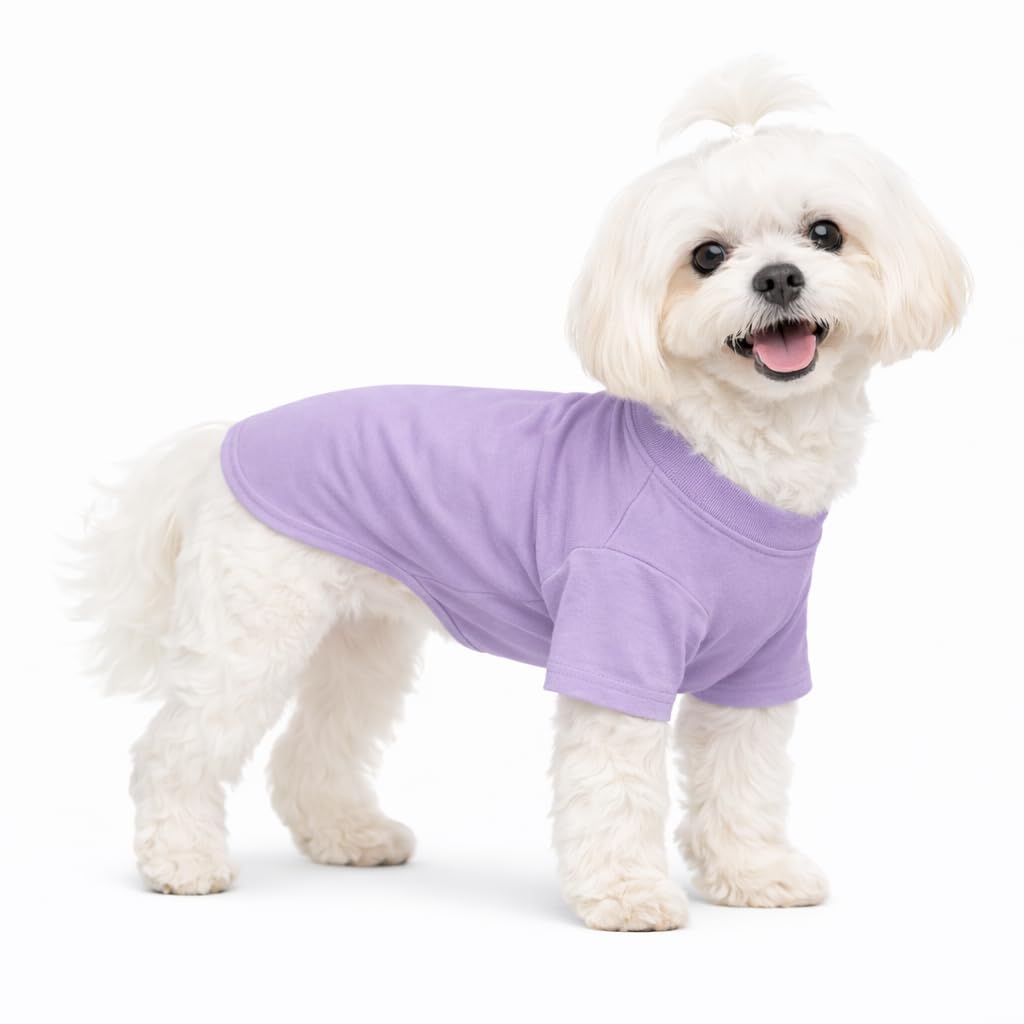 Lovelonglong Pet Clothing Dog Costumes Basic Blank T-Shirt Tee Shirts for Small Dogs Violet XS