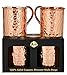 Premium Moscow Mule Copper Unlined Gift Pack Mug, 100 % Pure Solid Copper (16-Ounce, Hammered, Set of 2)