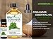 BioFinest Coriander Oil - 100% Pure Coriander Essential Oil - Premium Organic - Therapeutic Grade - Best For Aromatherapy - Food Enhancer - Promote Lower Blood Pressure - FREE E-Book (10ml)