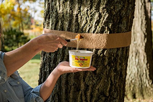 Tanglefoot Bundle 2 Products Tree Insect Barrier Tub + 8-Ounce Tangle-Trap Brush On Sticky Trap Coating - Thumbnail 5