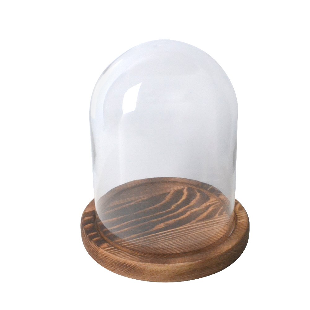 Reelva Decorative Glass Cloche Bell Jar Dome With wooden Base Tray Diameter for Flower Display DIY- 11(Dia) X15(H) CM