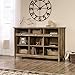 Sauder Adept Storage Credenza, Multi-Purpose Organization, Storage Credenza - Craftsman Oak Finish