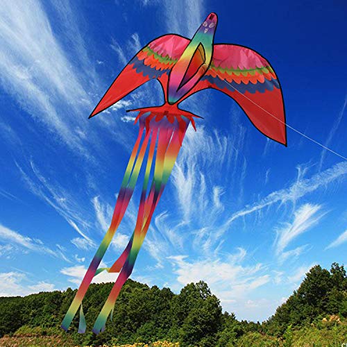 image for ZS-Juyi Beginner Phoenix Kites 86x 57Inch for Kids and Adults Bird Kit