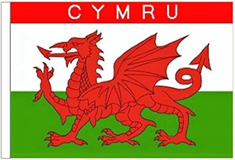 Amazon 国旗 ウェールズ 赤い竜 龍 ドラゴン 特大フラッグ ノーブランド品 地図 国旗 ホビー