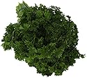 Organic Parsley, 1 Bunch