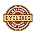 NCAA Man Cave Fan Zone Wood Sign