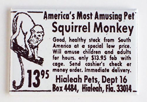 Squirrel Monkey Fridge Magnet (2.5 x 3.5 inches)