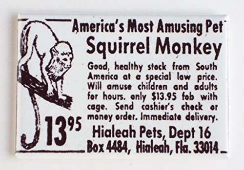 Squirrel Monkey Fridge Magnet (2.5 x 3.5 inches)