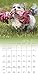 Yorkies 2017 Calendar: Includes Downloadable Wallpaper