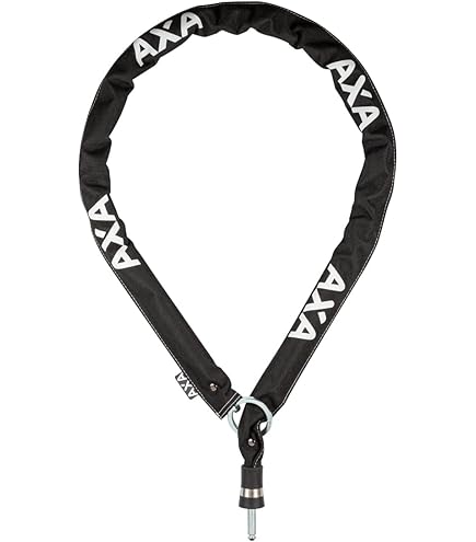 Amazon.com : AXA 2231015000 Victory Frame Lock, Black/Grey