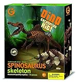 Dinosaur skeleton excavation kit Spinosaurus specimen (japan import)