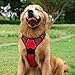 rabbitgoo Dog Harness, No-Pull Pet Harness with 2 Leash Clips, Adjustable Soft Padded Dog Vest, Reflective No-Choke Pet Oxford Vest with Easy Control Handle for Large Dogs, Red, L