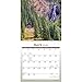 Cabin Country 2020 12 x 12 Inch Monthly Square Wall Calendar by Wyman Publishing, Outdoor Log Nature Rural