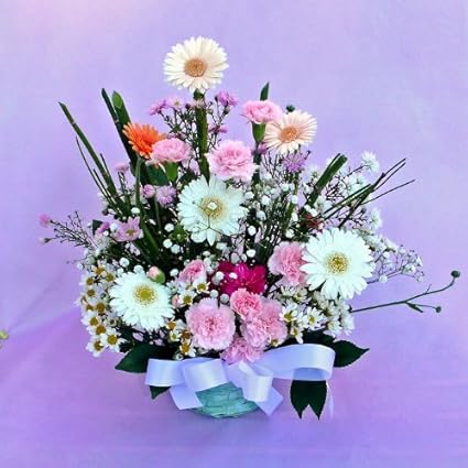 Amazon 48 お供えの花 ガーベラアレンジメント 優しい色合い ベイビーカラーミックス 花とハーブの店フェアリー フラワー アレンジメント