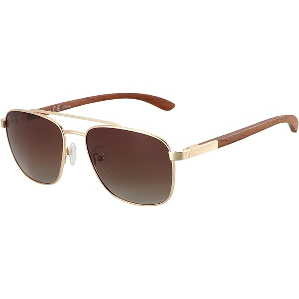 Amazon.com: Oliver Peoples OV1150S - 503585 Sunglasses GOLD w