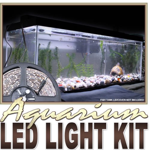Biltek 2' ft Cool White Aquarium Tank Coral White LED Backlight Night Light On/Off Switch Control Kit - Main Lighting Sub Fresh Water Salt Water Tanks Water Resistant 3528 SMD Flexible DIY 110V-220V