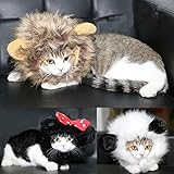 FAMI Pet Costume Mickey Wig with Ears, Christmas Costumes Festival Party Clothes Fancy Dress up for Dog Cat - Black Color