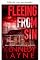 Livro Fugindo do pecado (Toque do mal Livro 6)