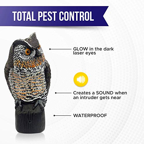 Lijo Solar Owl Animal Scarecrow Motion Activated Owl Decoy with Light