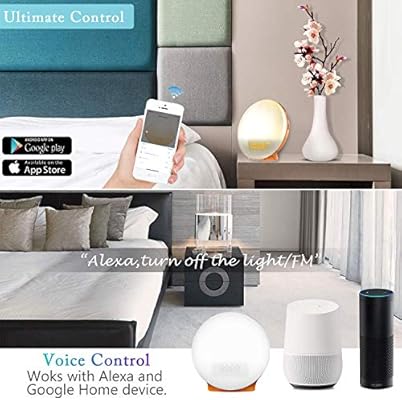 google home gradual alarm