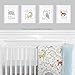 Sweet Jojo Designs Blue, Grey, Brown and Orange Wall Art Prints Room Decor for Baby, Nursery, and Kids for Woodland Animal Toile Collection - Set of 4 - Brave, Clever, Strong, Wise