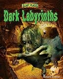 "Dark Labyrinths (Scary Places)" av Michael E Goodman