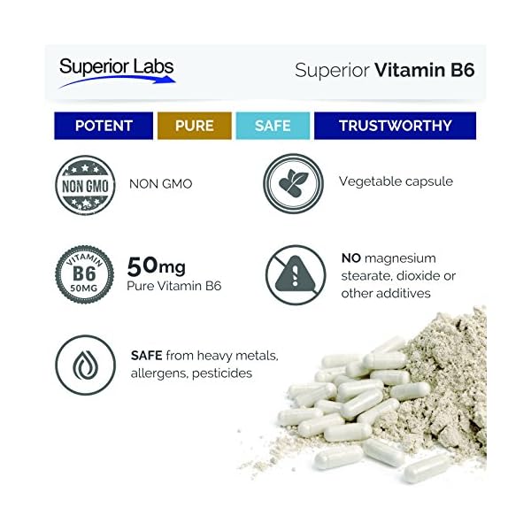 Superior Labs — Best Vitamin B6 Dietary Supplement — 50 mg Dosage ,120