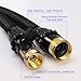 Garden Water Hose 100ft