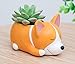 2 PCS Set Cute Cartoon Animal Shaped Succulent Cactus Flower Pot/Plant Pots/Planter/Container for Home Garden Office Desktop Decoration