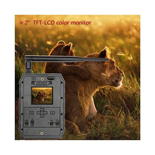 Tierkamera Wildkamera Fotofalle Jagdkamera Trail Wildlife Kamera 12MP HD Spielkameras 1080P Digital Jagdkamera 940NM… – Bild 4