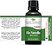 Plant Therapy Fir Needle Essential Oil 30 mL (1 oz) 100% Pure, Undiluted, Therapeutic Grade