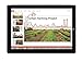 Microsoft Surface 3 GL4-00009 4G LTE 10.8 Inch 128GB Tablet