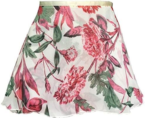 YUANYUAN520 Ballet Tutu Skirt Arrival Women Chiffon Flower Practice Ballet Skirt Girls Floral Print Dance Leotard Small Apron (Color : F26, Size : S)