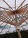 Quasimoon PaperLanternStore.com 32 Inch Cranes and Bamboo Paper Parasol Umbrella