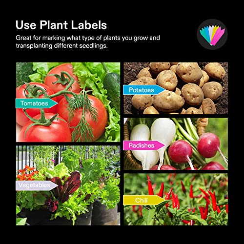 VIVOSUN 10Pack 3 Gallon Grow Bags, Reinforced Planter Fabric Pots for