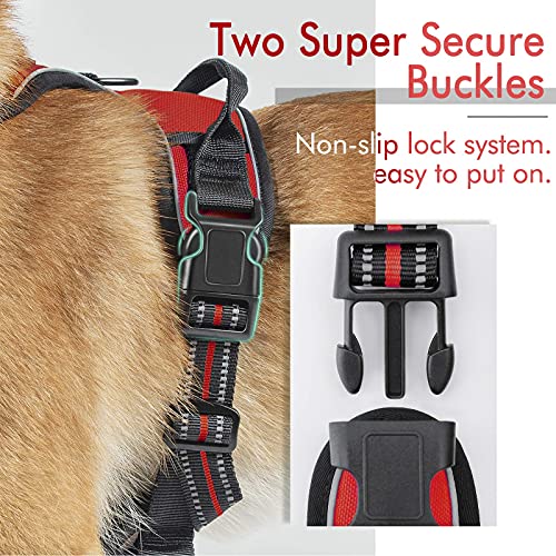 rabbitgoo Dog Harness, NoPull Pet Harness with 2 Leash Clips