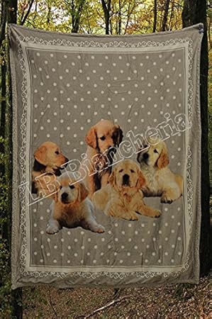 manta labrador retriever