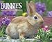 Just Bunnies 2015 Wall Calendar by 