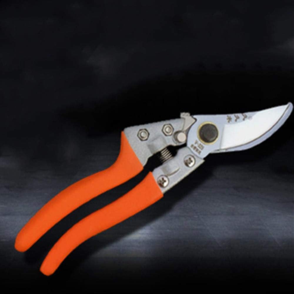 Fresh Truffle in olive oil total weight 180 Gram