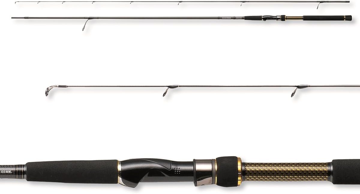 daiwa morethan branzino ags