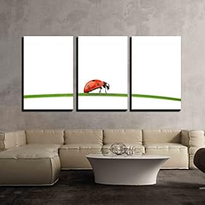 3 Piece Canvas Wall Art - Ladybug on Grass Isolated Macro - Modern Home Art Stretched and Framed Ready to Hang - 16"x24"x3 Panels