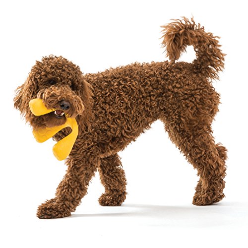 West Paw Zogoflex Air Wox Tug of War Dog Chew Toy Interactive Squishy
