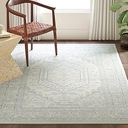 SAFAVIEH Adirondack Collection Accent Rug - 3' x